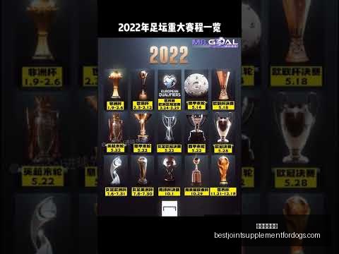 哈兰德英超,前五轮进球,近七轮进球,米兰体育娱乐官网,米兰体育娱乐App,米兰体育赛事直播,米兰体育娱乐中心,米兰体育娱乐平台