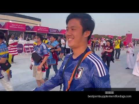 我国攻克高,寒高海拔拱,坝混凝土温,米兰体育娱乐官网,米兰体育娱乐App,米兰体育赛事直播,米兰体育娱乐中心,米兰体育娱乐平台